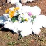 landshaft-design-3.1