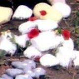 landshaft-design-3.2