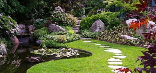 landshaft-design-thumb